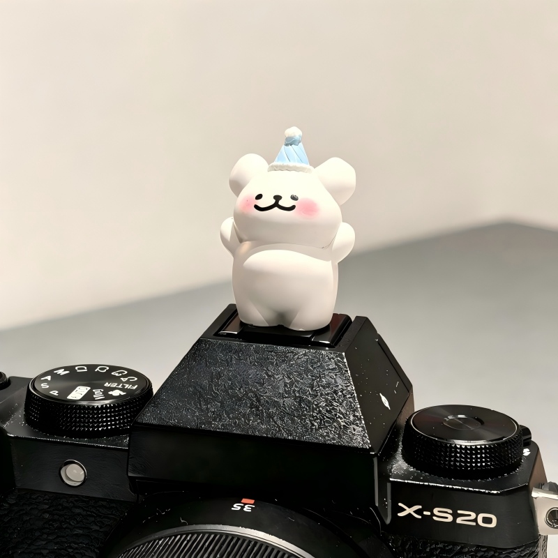 귀여운 곰 모양의 카메라 핫슈 캡, 방진 및 산화 방지 - Sony Camera Zv-E10 리뷰 및 가격